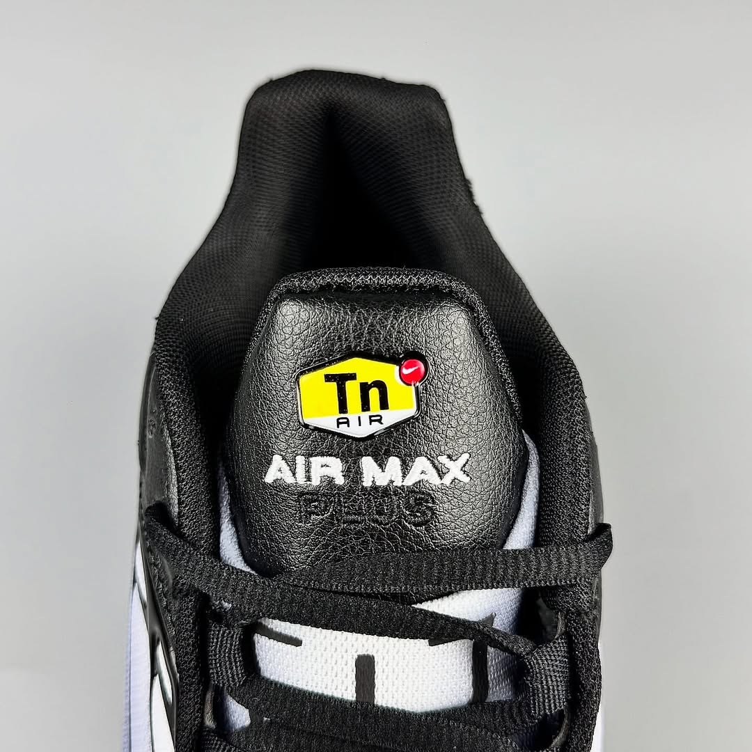 Nike Air Max Plus 3